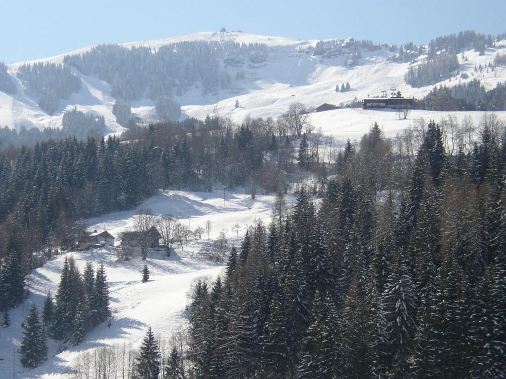 Gumpoldbauer Villa Maria Alm am Steinernen Meer Eksteriør bilde